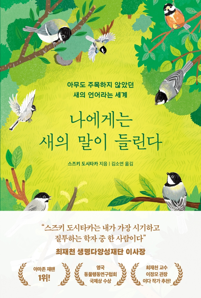 �����Դ� ���� ���� �鸰��